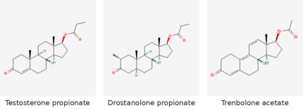 Molecular structures of Testosterone propionate, Drostanolone propionate and Trenbolone acetate