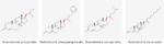 Molecular structures of Testosterone propionate, Testosterone phenylpropionate, Testosterone isocaproate and Testosterone decanoate