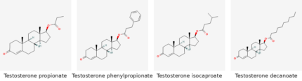 Molecular structures of Testosterone propionate, Testosterone phenylpropionate, Testosterone isocaproate and Testosterone decanoate