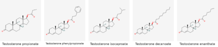Molecular structures of Testosterone propionate, Testosterone phenylpropionate, Testosterone isocaproate, Testosterone decanoate and Testosterone enanthate