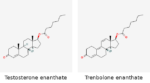 Molecular structures of Testosterone enanthate and Trenbolone enanthate