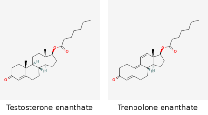 Molecular structures of Testosterone enanthate and Trenbolone enanthate