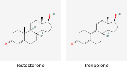 Molecular structures of Testosterone and Trenbolone