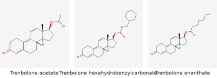 Molecular structures of Trenbolone acetate, Trenbolone hexahydrobenzylcarbonate and Trenbolone enanthate