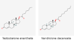 Molecular structures of Testosterone enanthate and Nandrolone decanoate