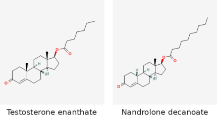 Molecular structures of Testosterone enanthate and Nandrolone decanoate
