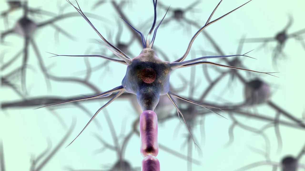 Growth Hormone Secretagogues