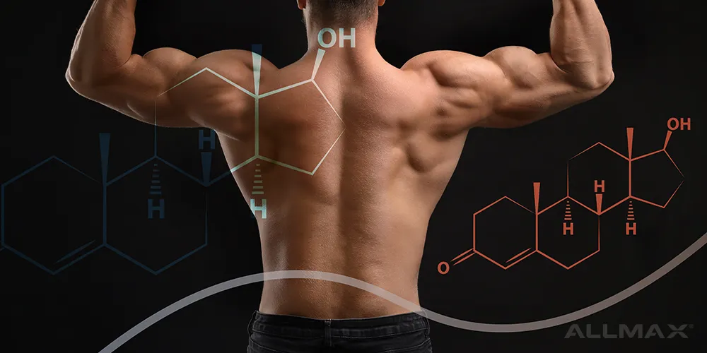 Testosterone