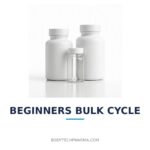 Beginners Bulk Cycle | BodyTechPharma