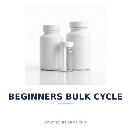 Beginners Bulk Cycle | BodyTechPharma
