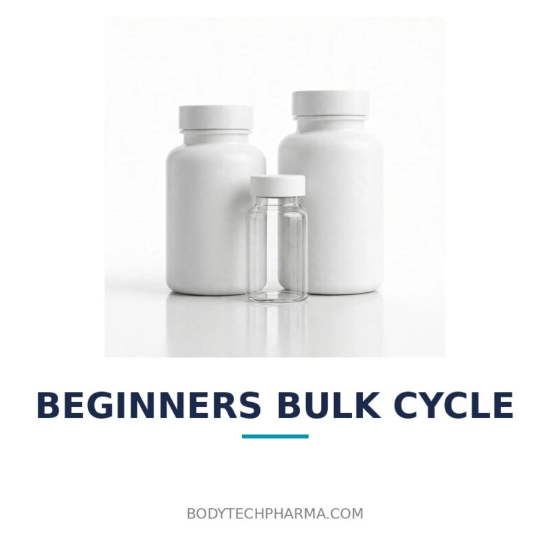 Beginners Bulk Cycle | BodyTechPharma