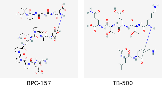 Molecular structures of BPC-157 and TB-500