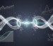EloraTZP Phase 2b research on eloralintide plus tirzepatide and amylin GIP GLP-1 pathways
